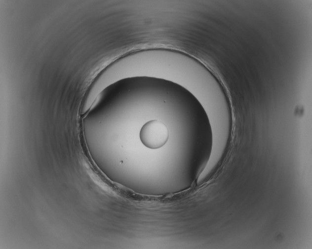 X0000114390389200911131347