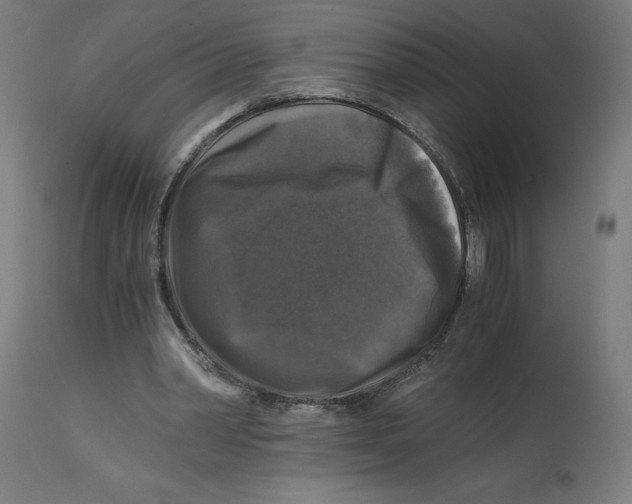 X0000114390390200911131347