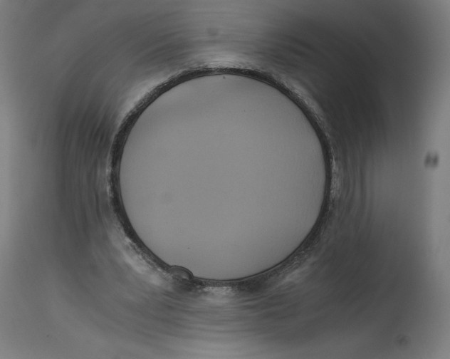 X0000114390391200911131347