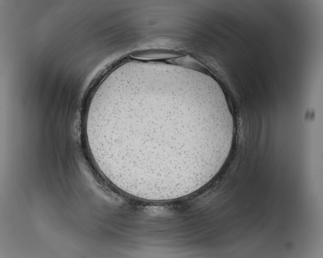 X0000114390392200911131347