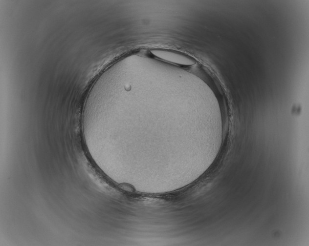 X0000114390393200911131347