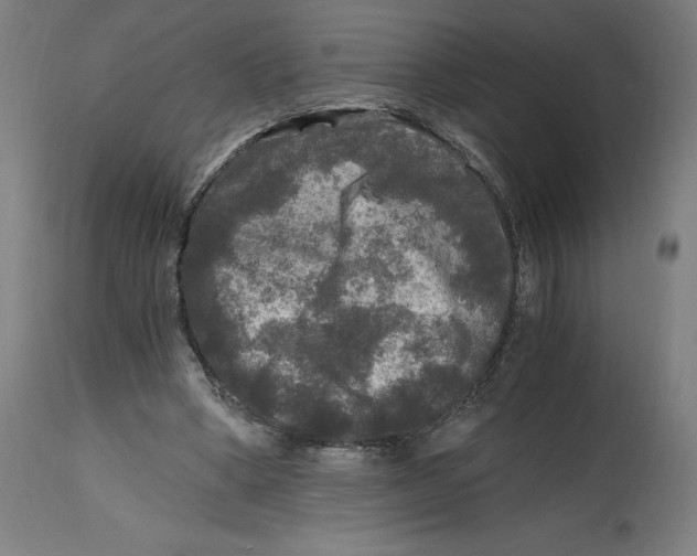 X0000114390394200911131347