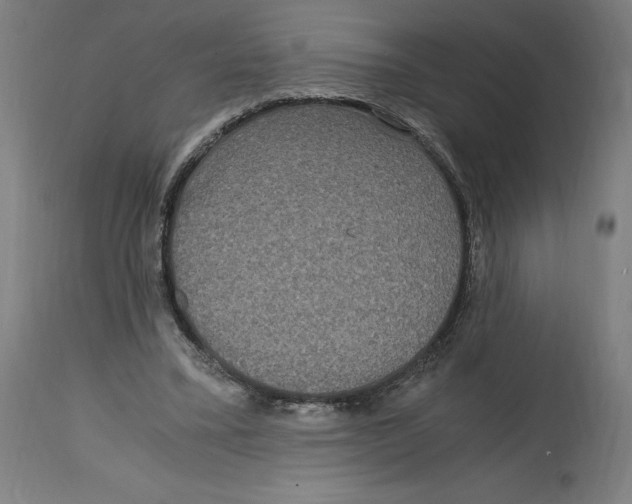 X0000114390395200911131347