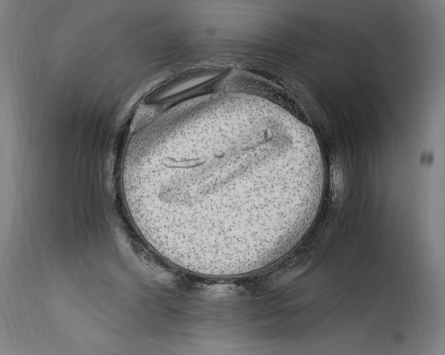 X0000114390396200911131347