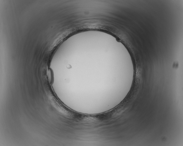 X0000114390397200911131347