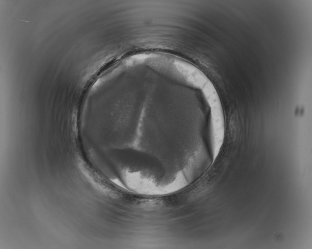 X0000114390398200911131347