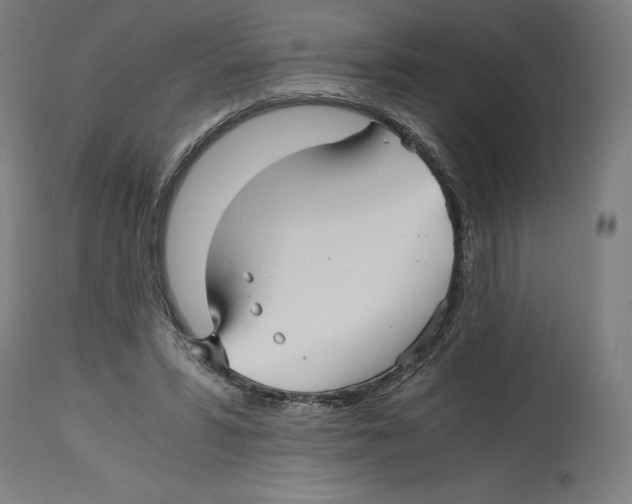 X0000114390399200911131347