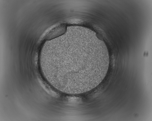 X0000114390400200911131347