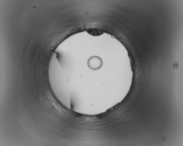 X0000114390401200911131347