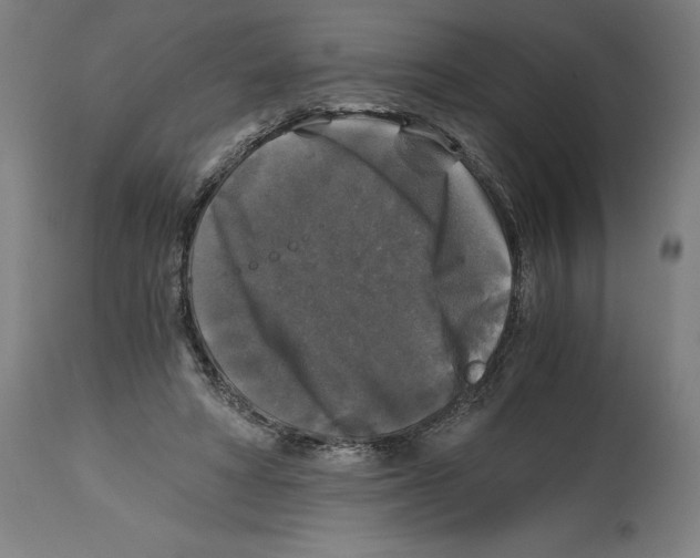 X0000114390402200911131347