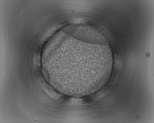 X0000114390403200911131347