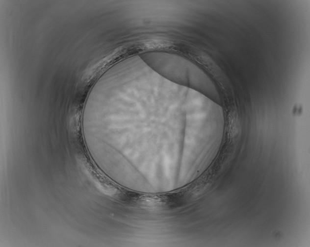 X0000114390405200911131347