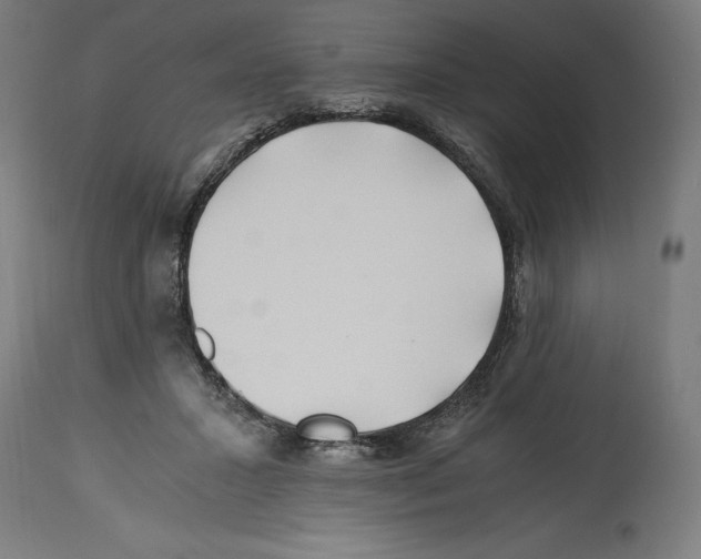 X0000114390407200911131347