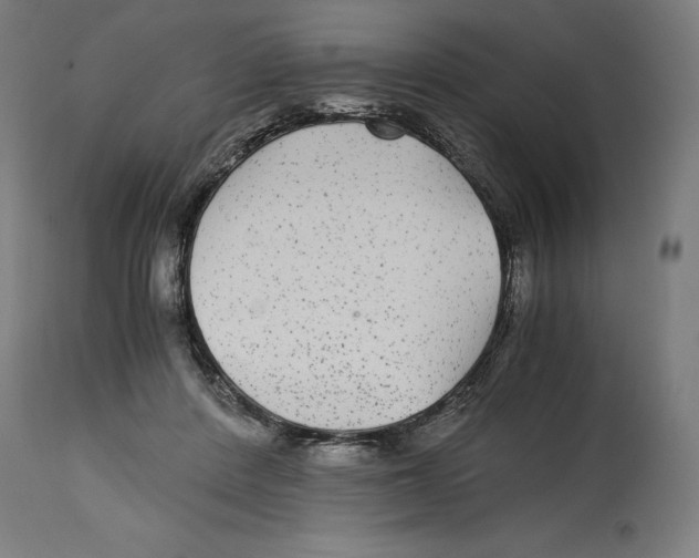 X0000114390408200911131347