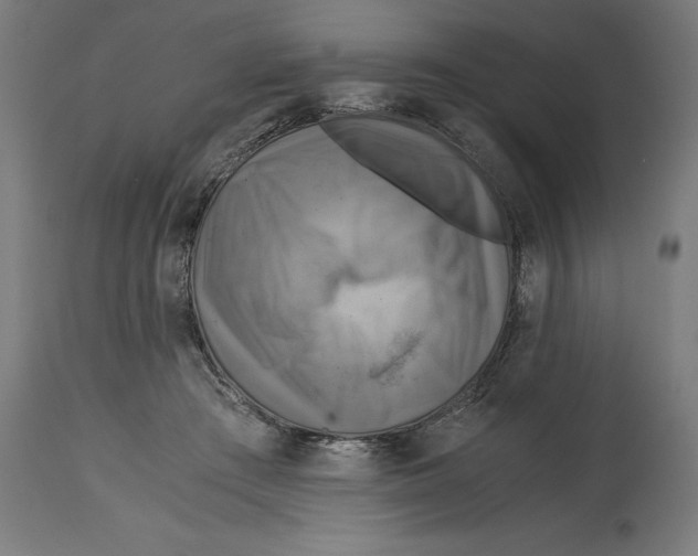 X0000114390409200911131347