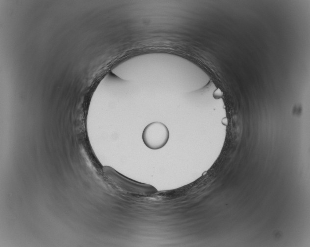 X0000114390411200911131347