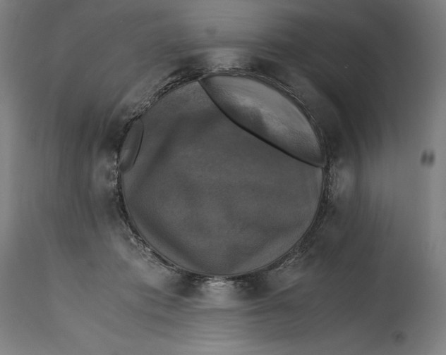 X0000114390413200911131347