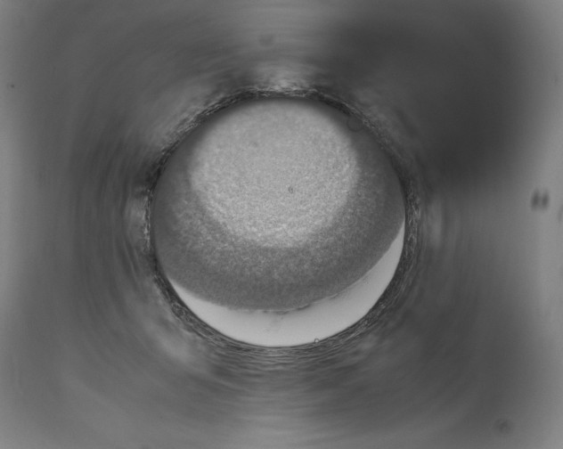 X0000114390415200911131347