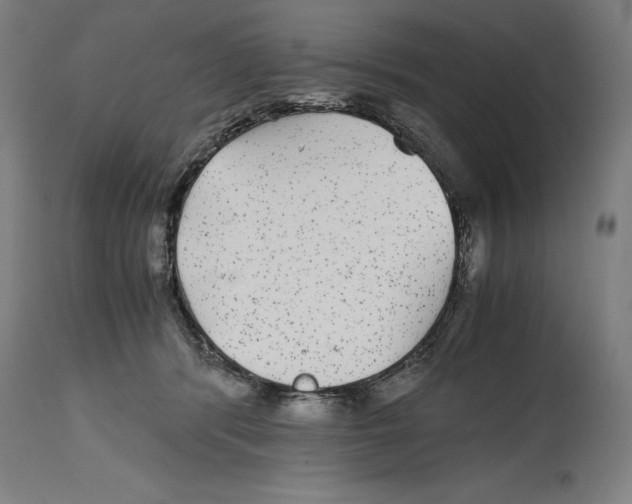 X0000114390416200911131347