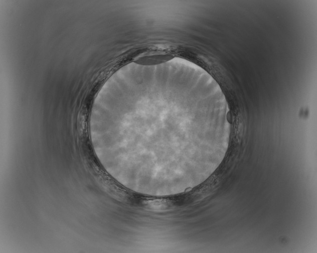 X0000114390417200911131347