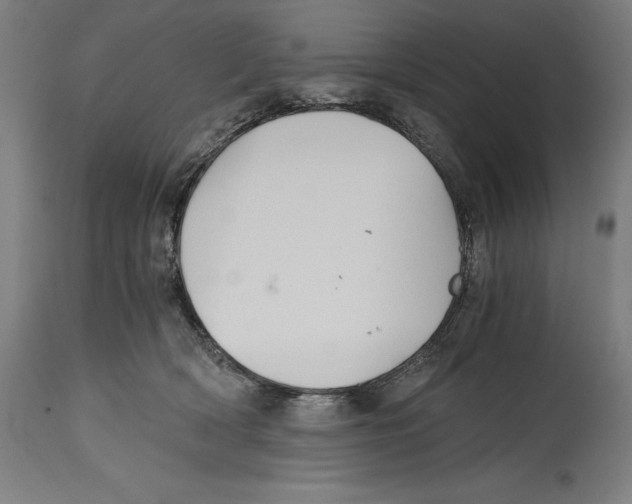 X0000114390418200911131347