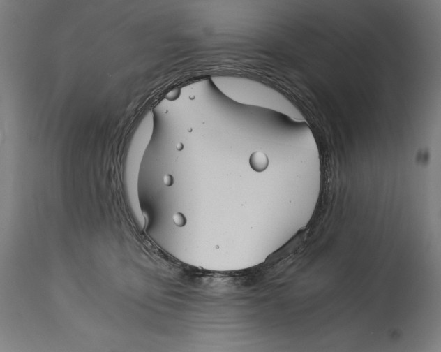 X0000114390419200911131347