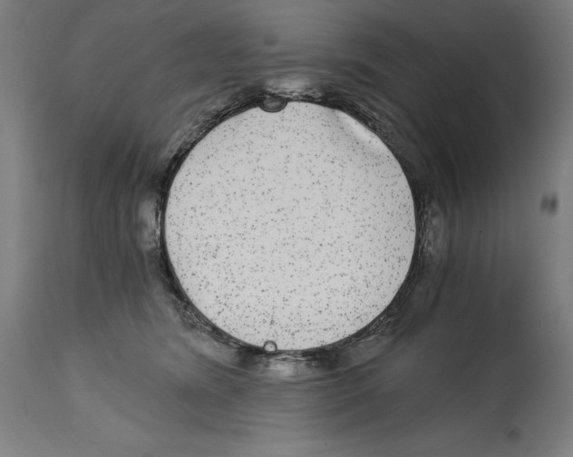 X0000114390420200911131347