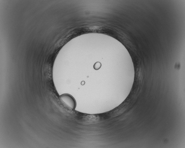 X0000114390421200911131347