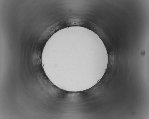 X0000114390422200911131347