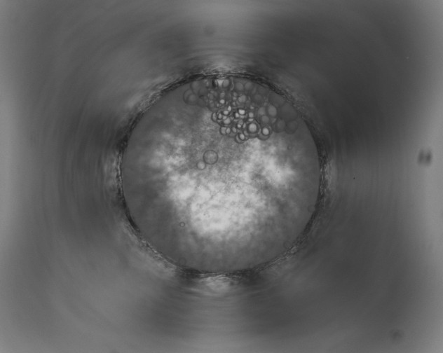 X0000114390423200911131347