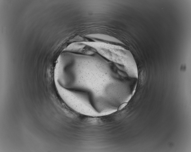 X0000114390424200911131347