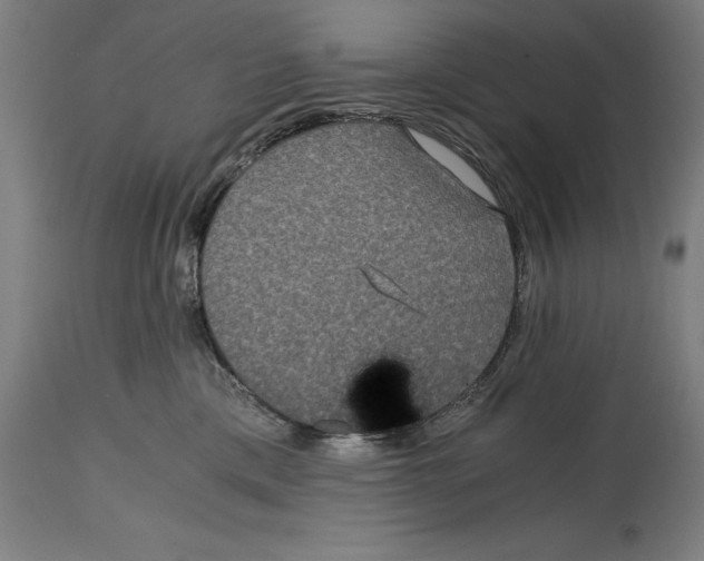 X0000114390425200911131347