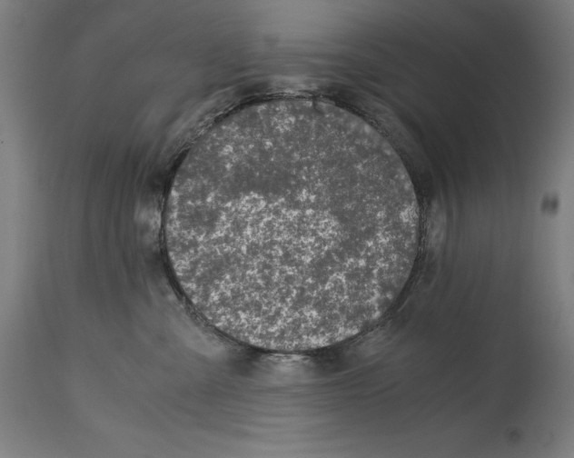 X0000114390427200911131347