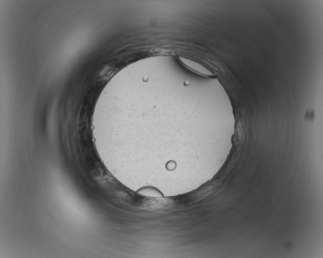 X0000114390429200911131347