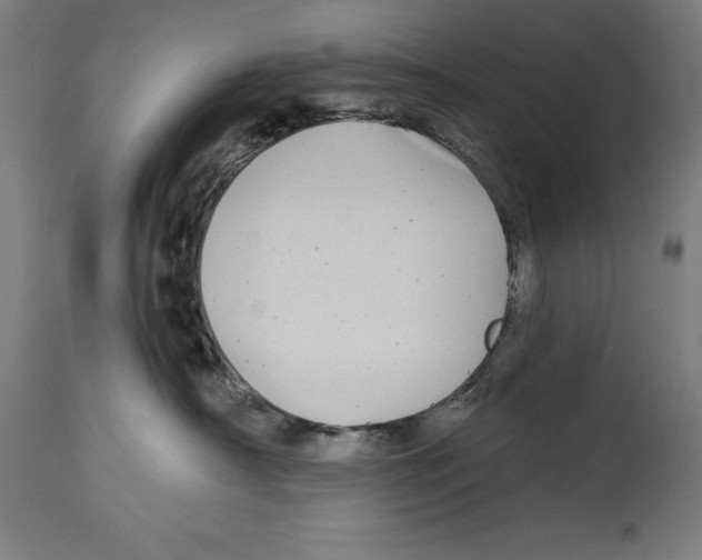 X0000114390430200911131347