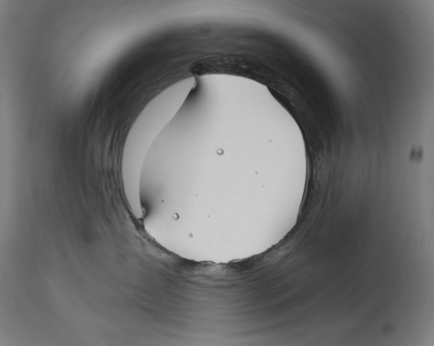 X0000114390431200911131347