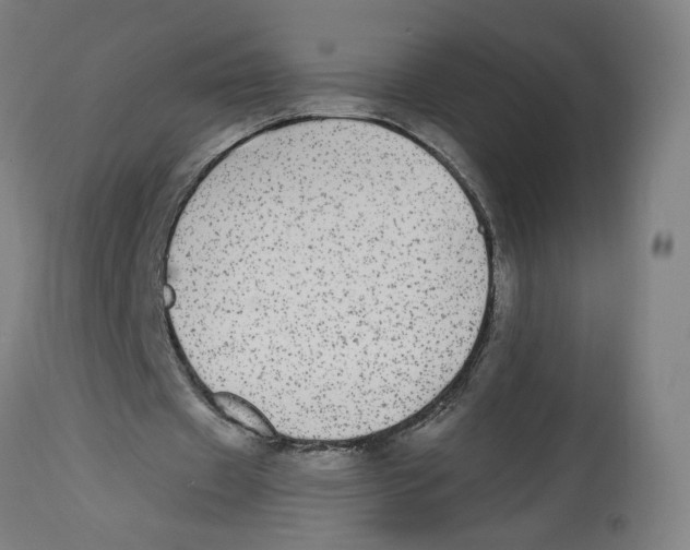 X0000114390433200911131346