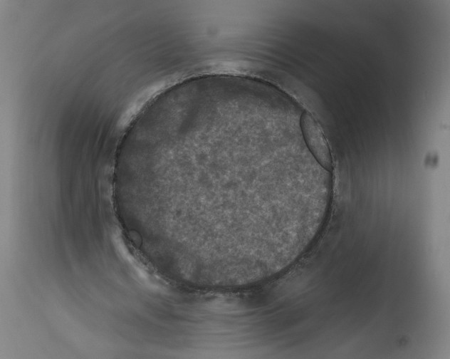 X0000114390434200911131346