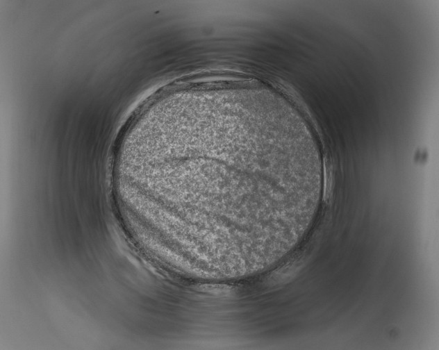 X0000114390435200911131346