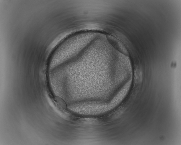 X0000114390436200911131346