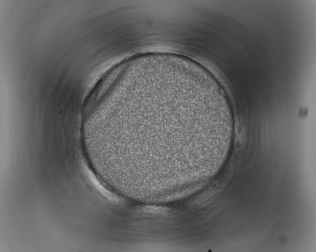 X0000114390437200911131346