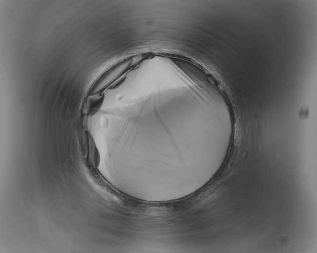 X0000114390438200911131346