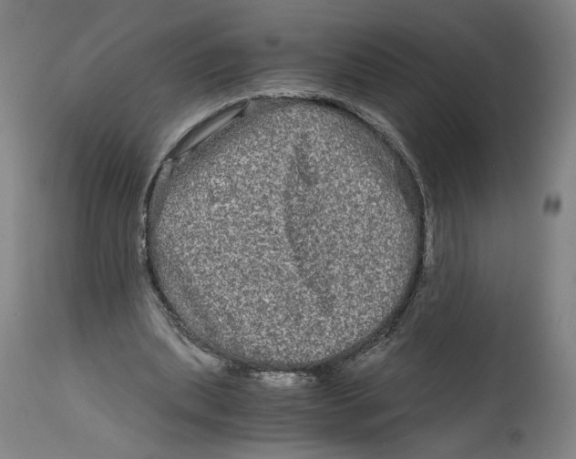 X0000114390439200911131346