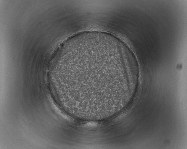 X0000114390441200911131346