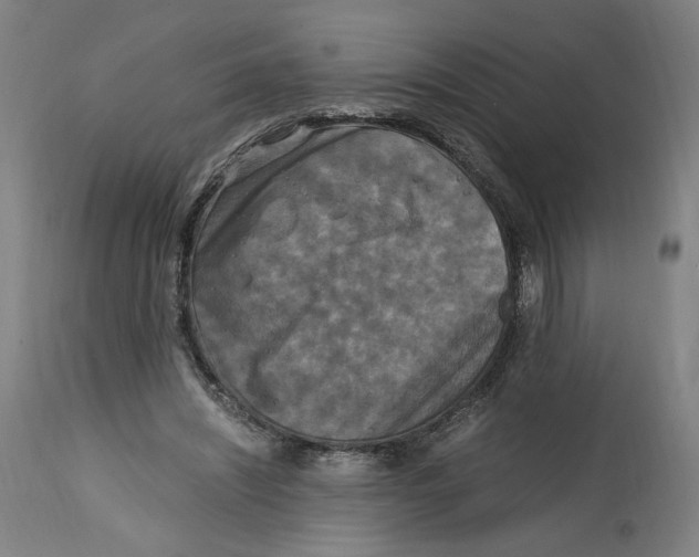 X0000114390444200911131346