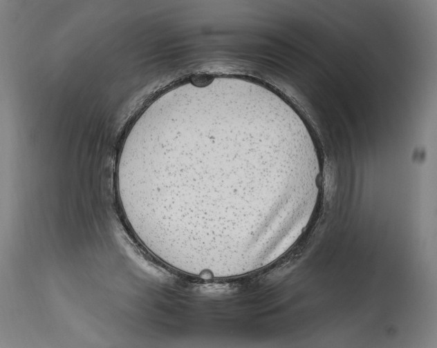 X0000114390445200911131346