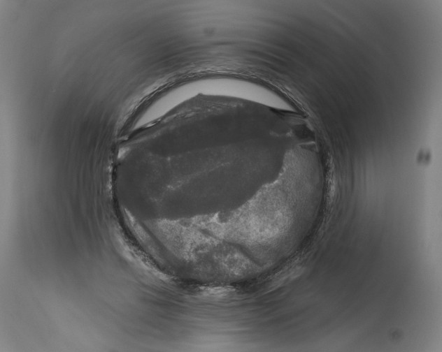 X0000114390446200911131346