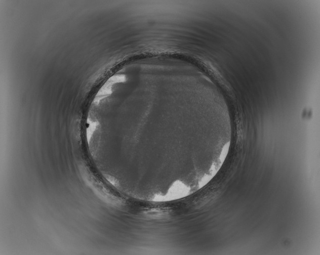 X0000114390447200911131346