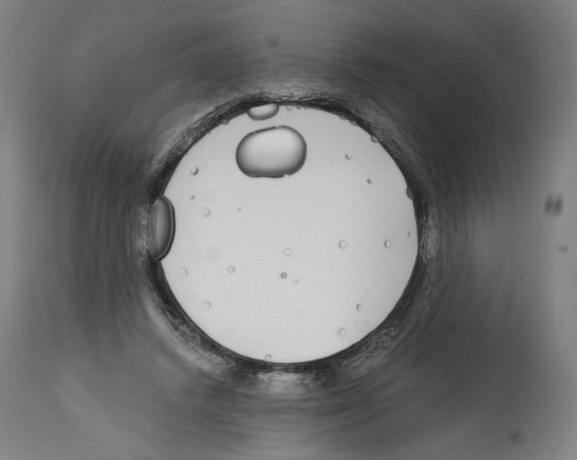 X0000114390448200911131346