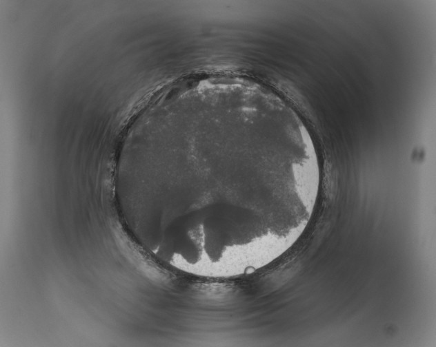 X0000114390449200911131346